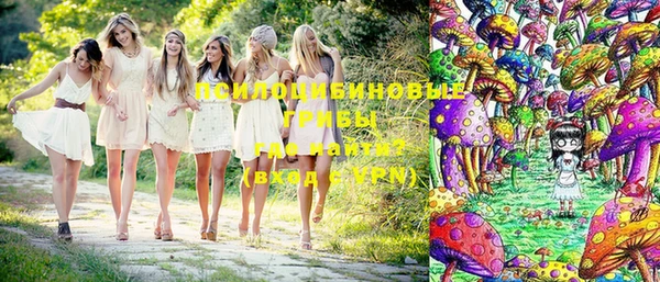 МДПВ Абинск