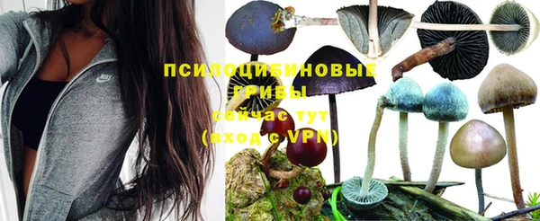 МДПВ Абинск