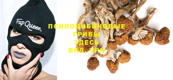 MESCALINE Елабуга