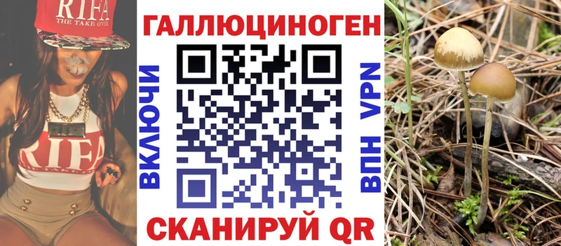 продажа наркотиков  Лодейное Поле  Галлюциногенные грибы Cubensis 